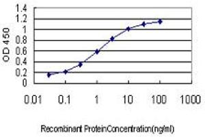 Detection limit for recombinant GST tagged ING1 is approximately 0. (ING1 Antikörper  (AA 41-140))