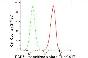 Flow cytometric analysis of RAD51 recombinase expression in HAP-1 cells using RAD51 recombinase antibody (ABIN7798367), 1:2,000). (Rekombinanter RAD51 Antikörper)