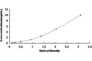 Typical standard curve (CHRDL2 ELISA Kit)