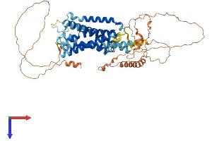 ADRA1D Protein (AA 1-562) (His tag)