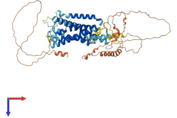 ADRA1D Protein (AA 1-562) (His tag)