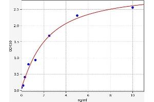 TDO2 ELISA Kit