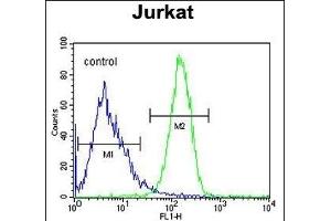 C Antibody (Center) (ABIN651778 and ABIN2840396) flow cytometric analysis of Jurkat cells (right histogram) compared to a negative control cell (left histogram). (CCDC106 Antikörper  (AA 151-180))