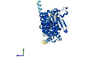 AlphaFold protein structure predicition of Human Recombinant PRIM1 Protein, UniprotID P49642