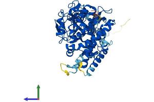 Protein Structure (PS) image for Cytochrome P450, Family 3, Subfamily A, Polypeptide 7 (CYP3A7) (AA 1-503) protein (His tag) (ABIN7546791)