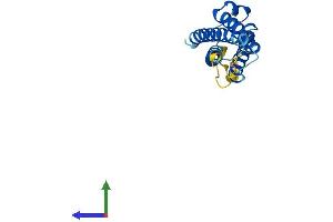 AlphaFold protein structure predicition of Mouse Recombinant Mal2 Protein, UniprotID Q8BI08