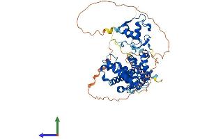 Protein Structure (PS) image for Nuclear Receptor Subfamily 6, Group A, Member 1 (NR6A1) (AA 1-495) protein (His tag) (ABIN7557818)