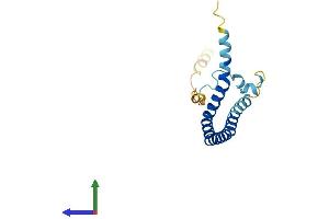 Protein Structure (PS) image for Caveolin 2 (CAV2) (AA 1-162) protein (His tag) (ABIN7552924)