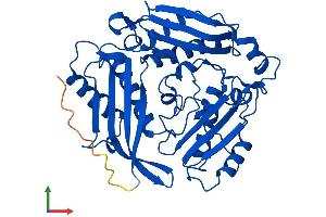 Protein Structure (PS) image for Methionine Adenosyltransferase I, alpha (MAT1A) (AA 1-396) protein (His tag) (ABIN7560073)