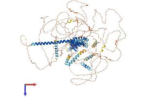 SRCIN1 Protein (AA 1-1250) (His tag)