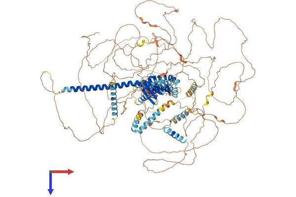 SRCIN1 Protein (AA 1-1250) (His tag)