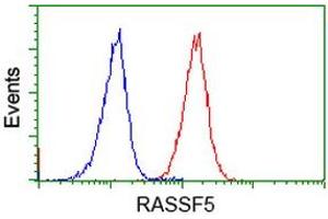 Image no. 3 for anti-Ras Association (RalGDS/AF-6) Domain Family Member 5 (RASSF5) antibody (ABIN1500615)