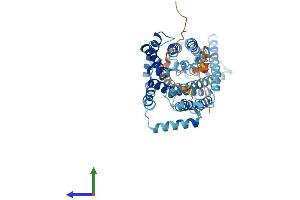 Protein Structure (PS) image for Solute Carrier Family 7 (Neutral Amino Acid Transporter Light Chain, Asc System), Member 10 (SLC7A10) (AA 1-523) protein (His tag) (ABIN7551751)