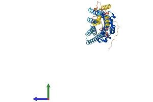 Protein Structure (PS) image for Opioid Receptor, mu 1 (OPRM1) (AA 1-400) protein (His tag) (ABIN7554846)