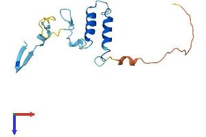 CHCHD4 Protein (AA 1-139) (His tag)