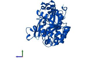 AlphaFold protein structure predicition of Mouse Recombinant Acmsd Protein, UniprotID Q8R519