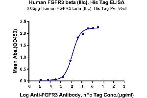 Immobilized Human FGFR3 beta (IIIc) at 0.