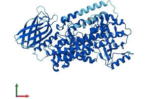 Protein Structure (PS) image for Arachidonate 12-Lipoxygenase (ALOX12) (AA 1-663) protein (His tag) (ABIN7554452)