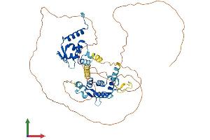 AlphaFold protein structure predicition of Mouse Recombinant Nacc1 Protein, UniprotID Q7TSZ8
