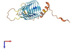 DCTN6 Protein (AA 1-190) (His tag)