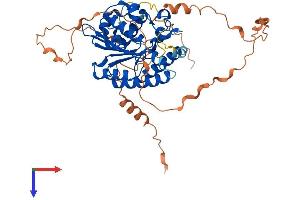 FAM113A Protein (AA 1-449) (His tag)