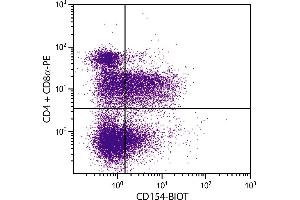 PMA and ionomycin stimulated BALB/c mouse splenocytes were stained with Hamster Anti-Mouse CD154-BIOT. (CD40 Ligand Antikörper  (Biotin))