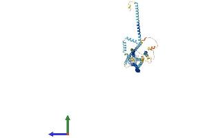 Protein Structure (PS) image for Cut-Like Homeobox 1 (CUX1) (AA 1-678) protein (His tag) (ABIN7553076)
