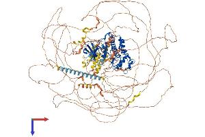 CDK13 Protein (AA 1-1511) (His tag)