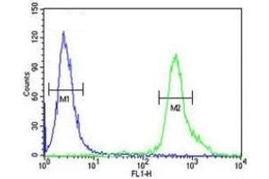 Flow Cytometry (FACS) image for anti-Tumor Protein P73 (TP73) (AA 288-317) antibody (ABIN3029400)