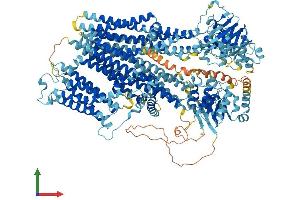 Protein Structure (PS) image for ATP-Binding Cassette, Sub-Family C (CFTR/MRP), Member 9 (ABCC9) (AA 1-1546) protein (His tag) (ABIN7563512)