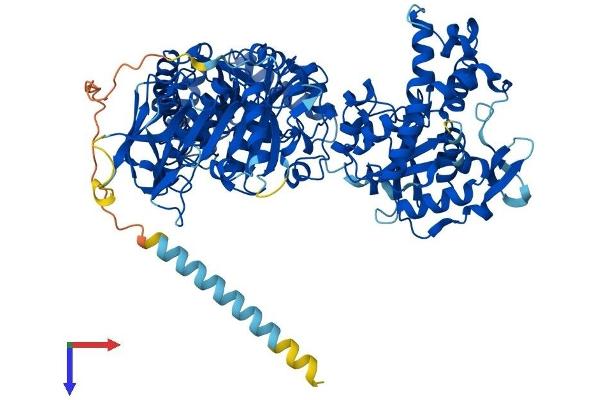 NDST4 Protein (AA 1-872) (His tag)