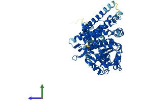 Protein Structure (PS) image for Cytochrome P450, Family 4, Subfamily X, Polypeptide 1 (CYP4X1) (AA 1-507) protein (His tag) (ABIN7557902)