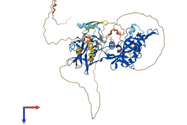 Tiparp Protein (AA 1-657) (His tag)