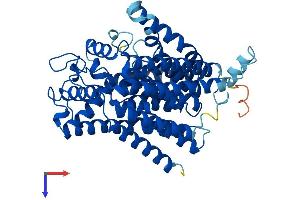 ALG6 Protein (AA 1-507) (His tag)
