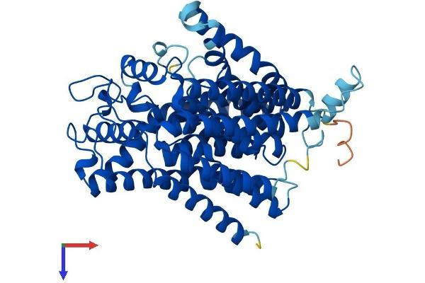 ALG6 Protein (AA 1-507) (His tag)
