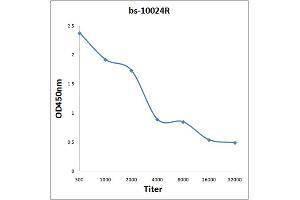 Antigen: 0. (HDAC3 Antikörper  (AA 31-130))