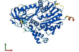 Protein Structure (PS) image for NOP2/Sun Domain Family, Member 6 (NSUN6) (AA 1-476) protein (His tag) (ABIN7558284)