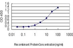 ELISA image for anti-Lymphoid Enhancer-Binding Factor 1 (LEF1) (AA 14-123) antibody (ABIN526526)