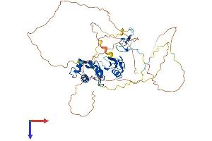 MDM2 Protein (AA 1-489) (His tag)