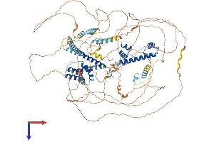 TAF4 Protein (AA 1-1085) (His tag)