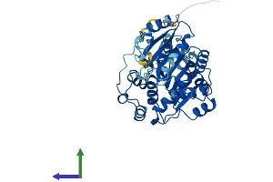 Protein Structure (PS) image for Eukaryotic Translation Initiation Factor 4A3 (EIF4A3) (AA 1-411) protein (His tag) (ABIN7564782)