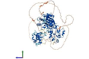 Protein Structure (PS) image for DNA (Cytosine-5-)-Methyltransferase 3 beta (DNMT3B) (AA 1-853) protein (His tag) (ABIN7553731)