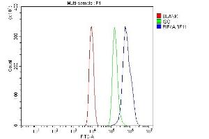 Flow Cytometry analysis of ANA-1 cells using anti-EIF4A1 antibody (ABIN7603144).