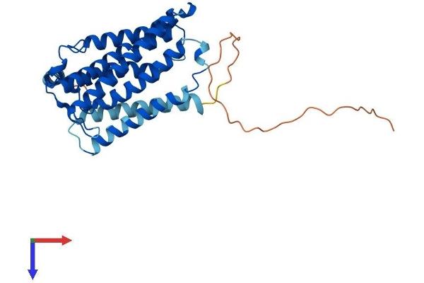 ELOVL4 Protein (AA 1-314) (His tag)