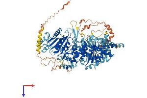 URGCP Protein (AA 1-931) (His tag)