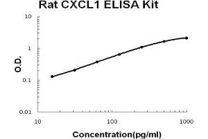 Rat CXCL1 PicoKine ELISA Kit standard curve (CXCL1 ELISA Kit)