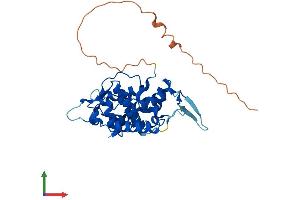 Protein Structure (PS) image for Golgi phosphoprotein 3 (Coat-Protein) (GOLPH3) (AA 1-298) protein (His tag) (ABIN7560628)