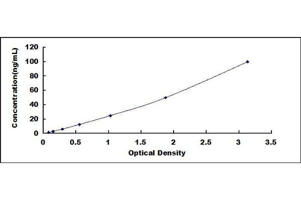 C4B ELISA Kit