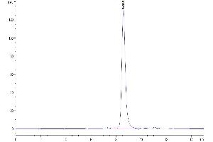 Size-exclusion chromatography-High Pressure Liquid Chromatography (SEC-HPLC) image for Matrix Metallopeptidase 8 (Neutrophil Collagenase) (MMP8) (AA 21-467) protein (His tag) (ABIN7275269)