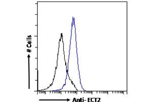 (ABIN185018) Flow cytometric analysis of paraformaldehyde fixed A431 cells (blue line), permeabilized with 0. (ECT2 Antikörper  (N-Term))